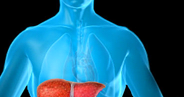 Natural Treatments For Primary Biliary Cholangitis Natural Treatments For Primary Biliary Cholangitis