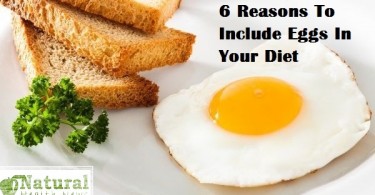 Can I Eat Quinoa On South Beach Diet Can I Eat Quinoa On South Beach Diet