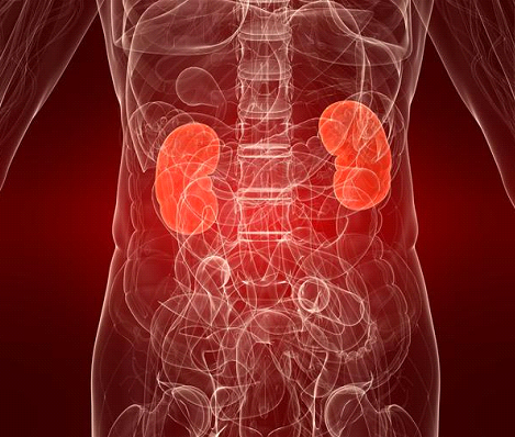Chronic Kidney Disease Symptoms, Causes, Diagnosis and Treatment