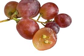 Grape Seed