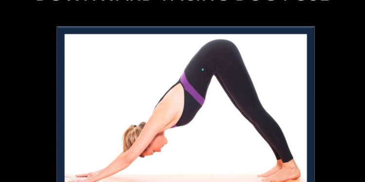 Downward - Facing Dog Pose