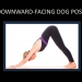 Downward - Facing Dog Pose
