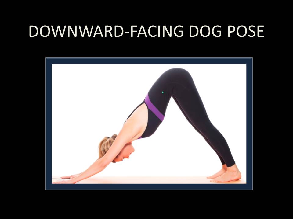Downward - Facing Dog Pose