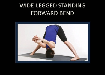 Wide – Legged Standing Forward Bend