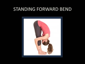 Standing Forward Bend