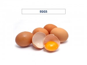 Eggs