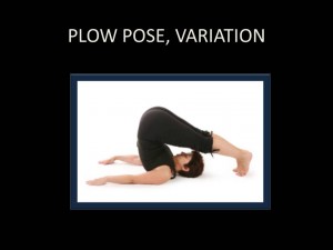 Plow Pose, Variation 