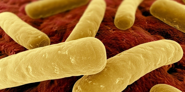 C.difficile Infection