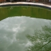 Cryptosporidium Infection
