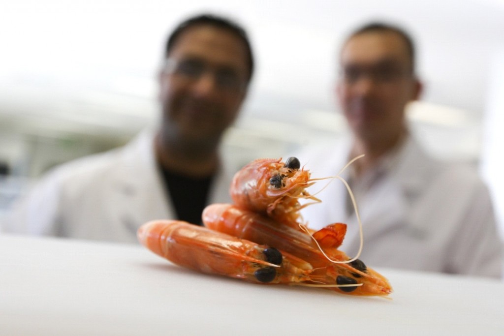 Shellfish Allergy Symptoms, Causes, Risk Factors, Diagnosis and