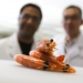 Shellfish Allergy