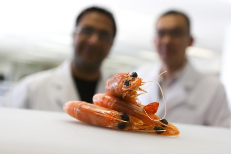 Shellfish Allergy Symptoms, Causes, Risk Factors, Diagnosis and