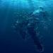 Drowning