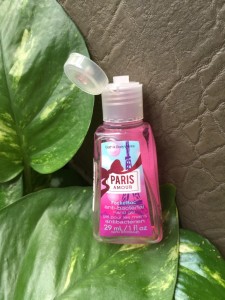 Paris Amour Pocketbac Anti-Bacterial