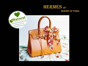 HERMES