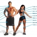 Muscle Groups Explained Here