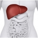 Hepatitis