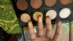 Highlight & Contour Pro Palette