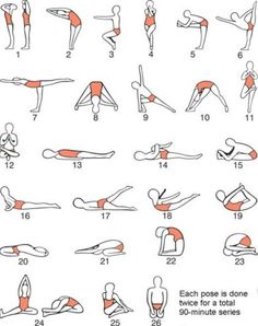 Various Types Of Stretches 