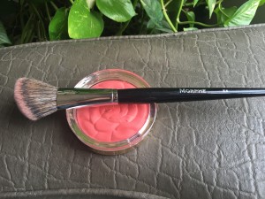 E4 Angled Contour Brush 