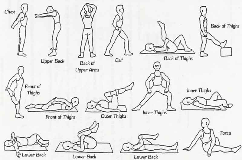 Lower Back Stretches Chart