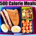 500 Calorie Diet
