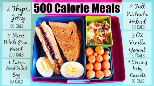 500 Calorie Diet