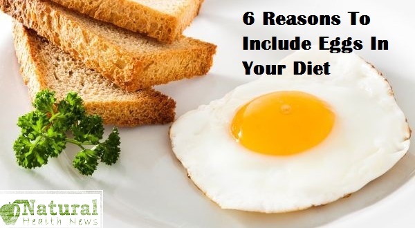 Eggs In Your Diet