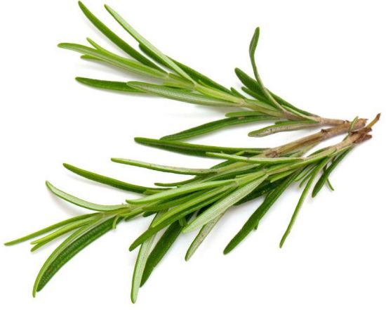 Rosemary