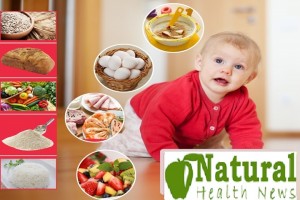 Baby Food Diet