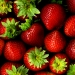 5 Benefits of Strawberries