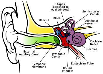 benign-paroxysmal-positional-vertigo