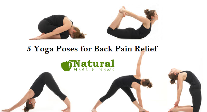 5 Yoga Poses for Back Pain Relief
