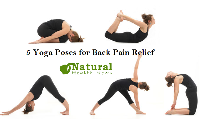 5 Yoga Poses for Back Pain Relief
