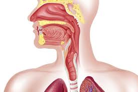 esophageal-spasms