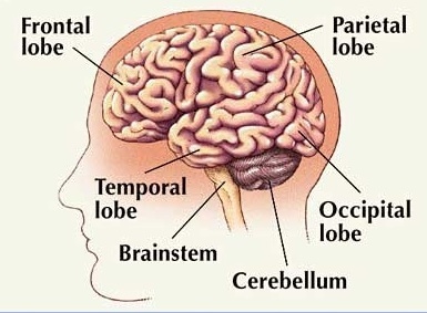 frontotemporal-dementia