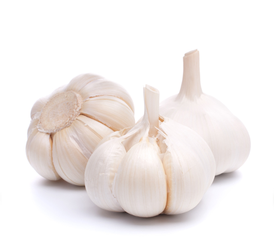 garlic