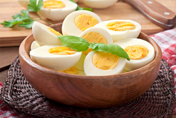 Eating Eggs Diet