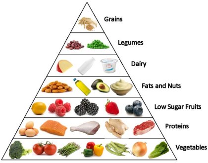 Low Carb Diet Meal Plans