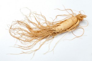 Ginseng