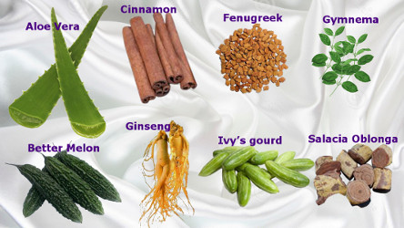 Natural Herbs for Diabetes