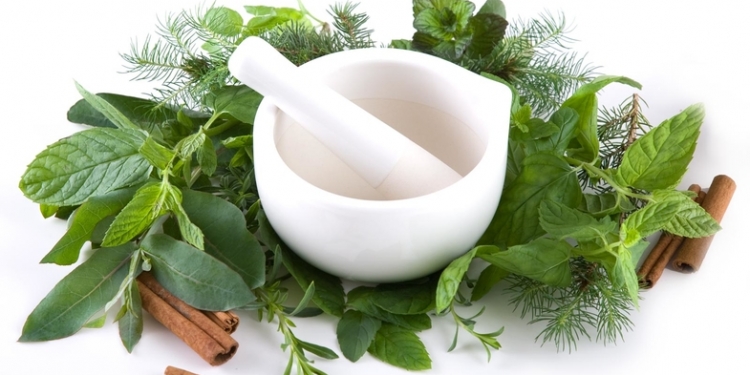 10 Awesome Healing Herbs You Can Use Daily Life