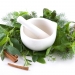 10 Awesome Healing Herbs You Can Use Daily Life