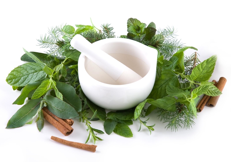 10 Awesome Healing Herbs You Can Use Daily Life