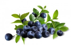 Bilberry