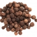 Allspice
