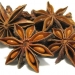 star anise seed