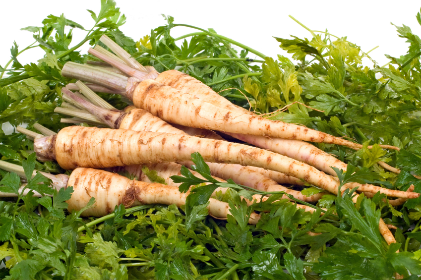 Parsley Root