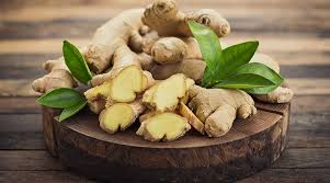 Ginger