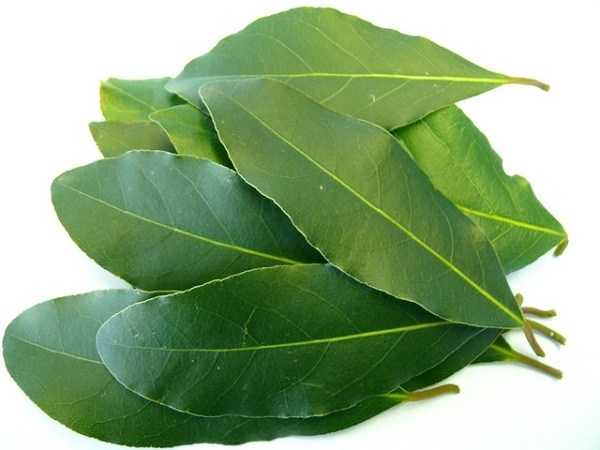 Bay Leaves